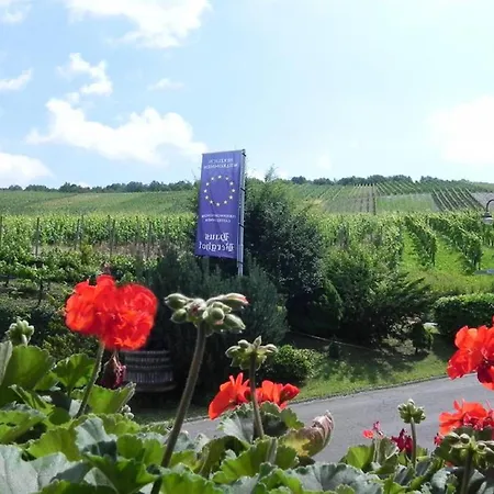 Haus Berghof Moselpanorama