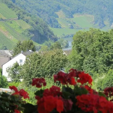 Haus Berghof Moselpanorama * Neumagen-Dhron
