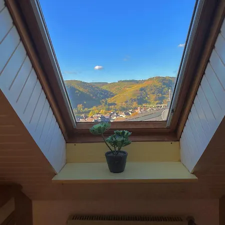 Daire Haus Berghof Moselpanorama *