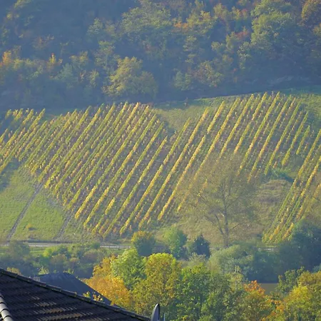 Haus Berghof Moselpanorama Neumagen-Dhron