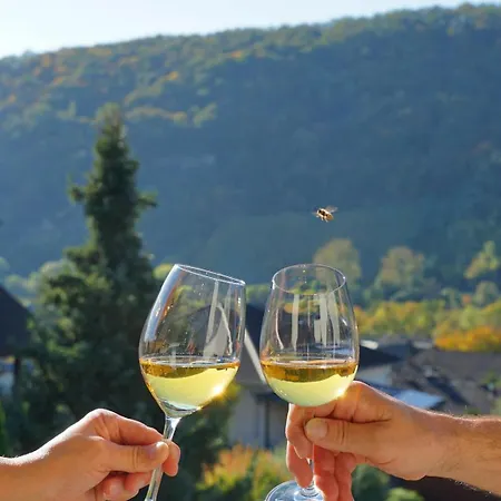 Haus Berghof Moselpanorama *