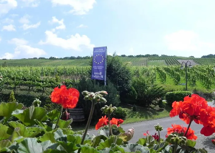 Haus Berghof Moselpanorama