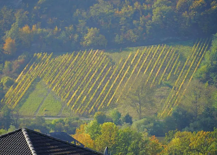 Haus Berghof Moselpanorama Neumagen-Dhron