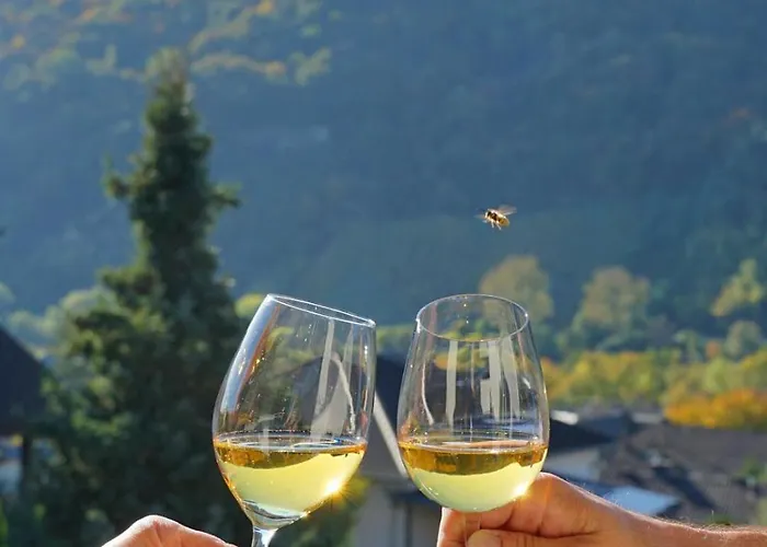 Haus Berghof Moselpanorama *